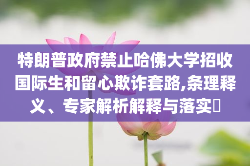 特朗普政府禁止哈佛大學招收國際生和留心欺詐套路,條理釋義、專家解析解釋與落實?