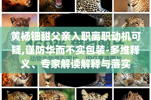 黃楊鈿甜父親入職離職動機可疑,謹防華而不實包裝-多維釋義、專家解讀解釋與落實