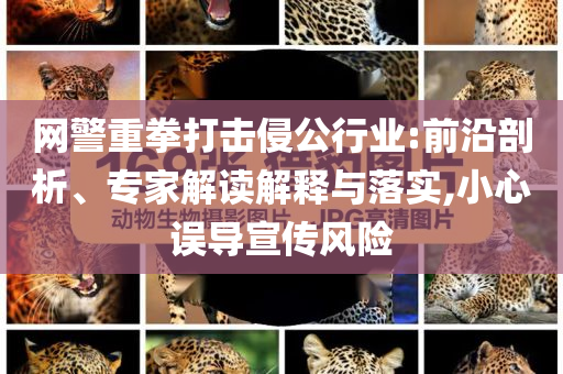 網(wǎng)警重拳打擊侵公行業(yè):前沿剖析、專家解讀解釋與落實,小心誤導(dǎo)宣傳風(fēng)險