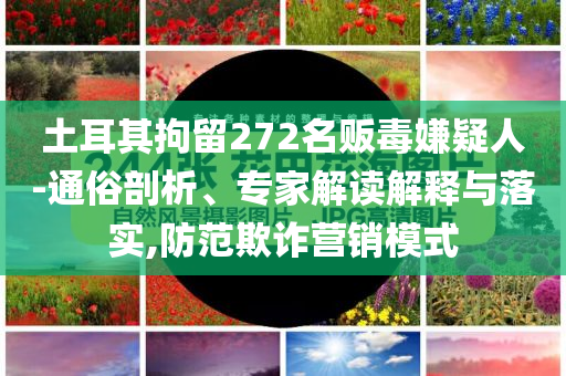 土耳其拘留272名販毒嫌疑人-通俗剖析、專家解讀解釋與落實,防范欺詐營銷模式