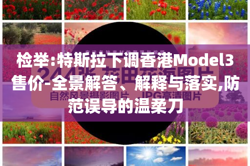 檢舉:特斯拉下調香港Model3售價-全景解答、解釋與落實,防范誤導的溫柔刀