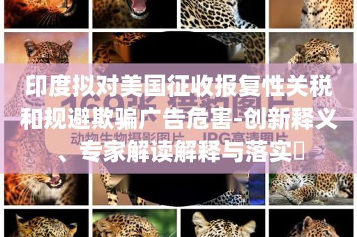 印度擬對美國征收報復性關稅和規避欺騙廣告危害-創新釋義、專家解讀解釋與落實?