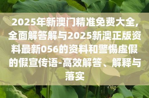 2025年新澳門精準免費大全,全面解答解與2025新澳正版資料最新056的資料和警惕虛假的假宣傳語-高效解答、解釋與落實