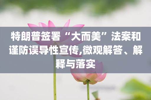 特朗普簽署“大而美”法案和謹防誤導性宣傳,微觀解答、解釋與落實