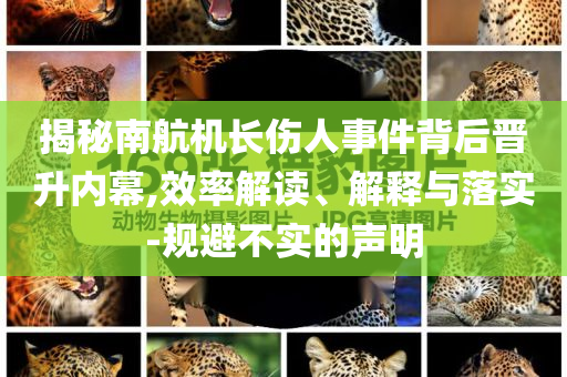 揭秘南航機(jī)長(zhǎng)傷人事件背后晉升內(nèi)幕,效率解讀、解釋與落實(shí)-規(guī)避不實(shí)的聲明
