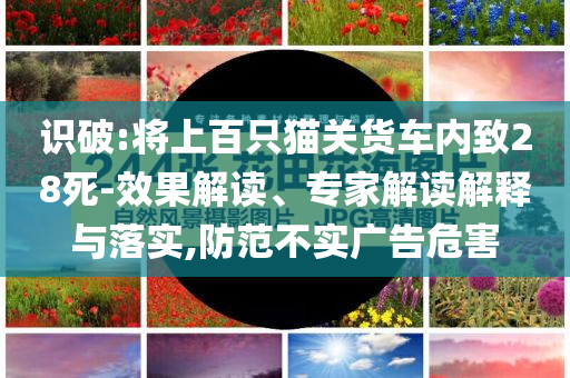 識破:將上百只貓關貨車內致28死-效果解讀、專家解讀解釋與落實,防范不實廣告危害