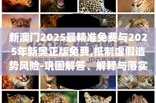 新澳門2025最精準免費與2025年新奧正版免費,抵制虛假造勢風險-鞏固解答、解釋與落實