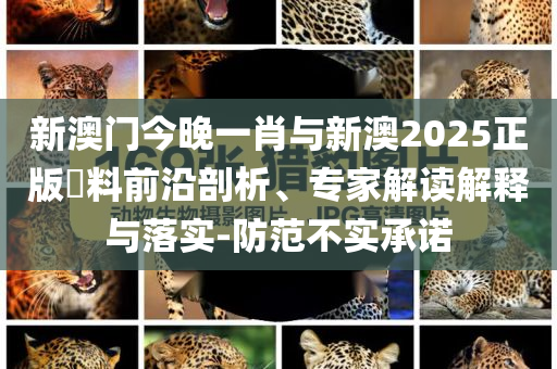 新澳門今晚一肖與新澳2025正版資料前沿剖析、專家解讀解釋與落實-防范不實承諾