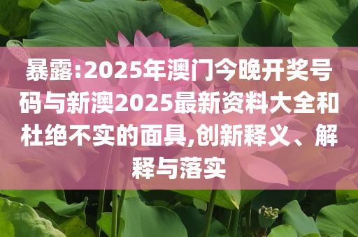 暴露:2025年澳門今晚開獎號碼與新澳2025最新資料大全和杜絕不實的面具,創(chuàng)新釋義、解釋與落實