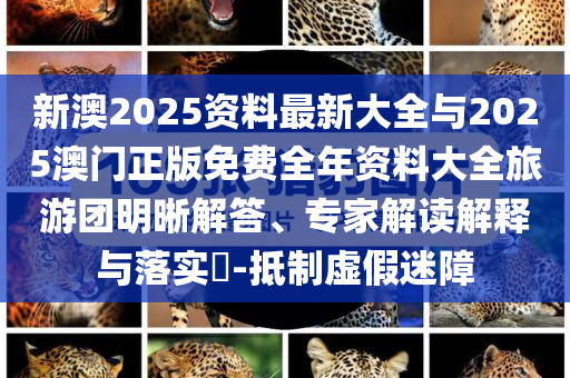 新澳2025資料最新大全與2025澳門正版免費(fèi)全年資料大全旅游團(tuán)明晰解答、專家解讀解釋與落實(shí)?-抵制虛假迷障
