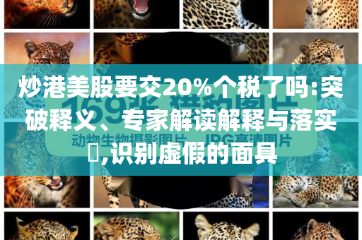 炒港美股要交20%個稅了嗎:突破釋義、專家解讀解釋與落實?,識別虛假的面具