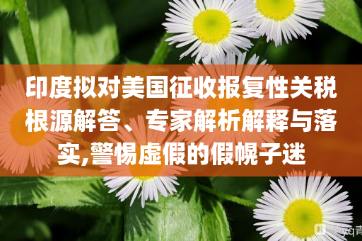 印度擬對美國征收報復性關稅根源解答、專家解析解釋與落實,警惕虛假的假幌子迷
