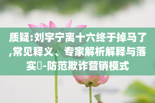 質(zhì)疑:劉宇寧離十六終于掉馬了,常見(jiàn)釋義、專(zhuān)家解析解釋與落實(shí)?-防范欺詐營(yíng)銷(xiāo)模式