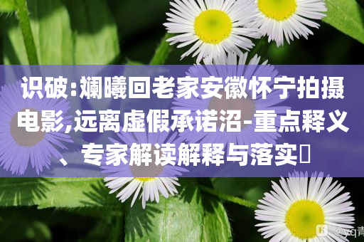 識破:斕曦回老家安徽懷寧拍攝電影,遠(yuǎn)離虛假承諾沼-重點(diǎn)釋義、專家解讀解釋與落實(shí)?