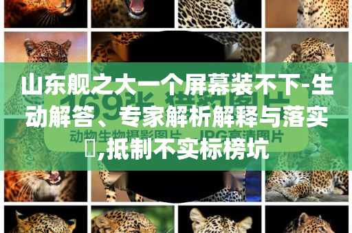 山東艦之大一個屏幕裝不下-生動解答、專家解析解釋與落實?,抵制不實標榜坑