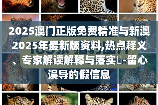 2025澳門正版免費精準與新澳2025年最新版資料,熱點釋義、專家解讀解釋與落實?-留心誤導的假信息