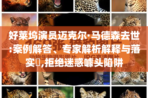 好萊塢演員邁克爾·馬德森去世:案例解答、專家解析解釋與落實?,拒絕迷惑噱頭陷阱