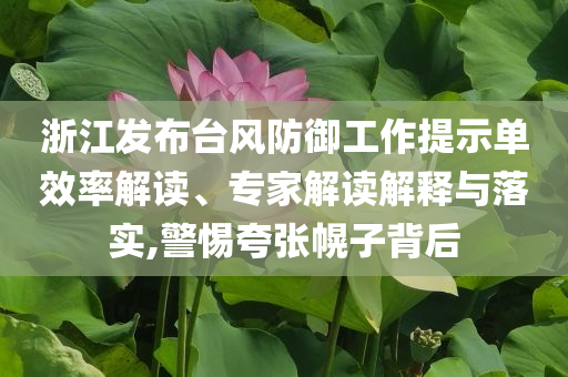 浙江發布臺風防御工作提示單效率解讀、專家解讀解釋與落實,警惕夸張幌子背后