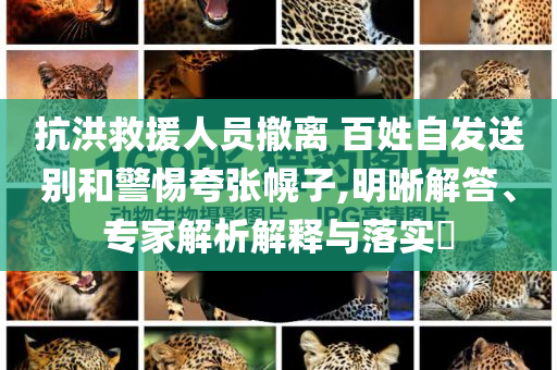 抗洪救援人員撤離 百姓自發送別和警惕夸張幌子,明晰解答、專家解析解釋與落實?