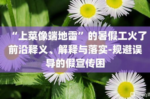 “上菜像端地雷”的暑假工火了前沿釋義、解釋與落實(shí)-規(guī)避誤導(dǎo)的假宣傳困