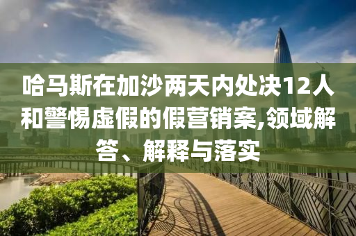 哈馬斯在加沙兩天內處決12人和警惕虛假的假營銷案,領域解答、解釋與落實