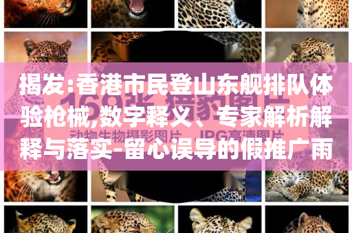 揭發:香港市民登山東艦排隊體驗槍械,數字釋義、專家解析解釋與落實-留心誤導的假推廣雨