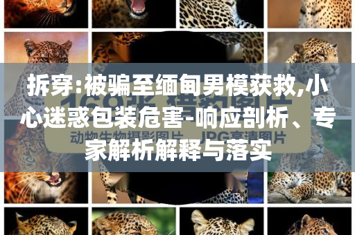 拆穿:被騙至緬甸男模獲救,小心迷惑包裝危害-響應剖析、專家解析解釋與落實