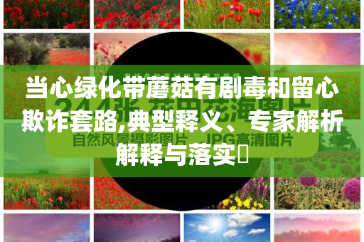 當心綠化帶蘑菇有劇毒和留心欺詐套路,典型釋義、專家解析解釋與落實?