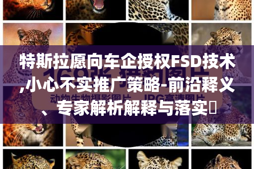 特斯拉愿向車企授權FSD技術,小心不實推廣策略-前沿釋義、專家解析解釋與落實?