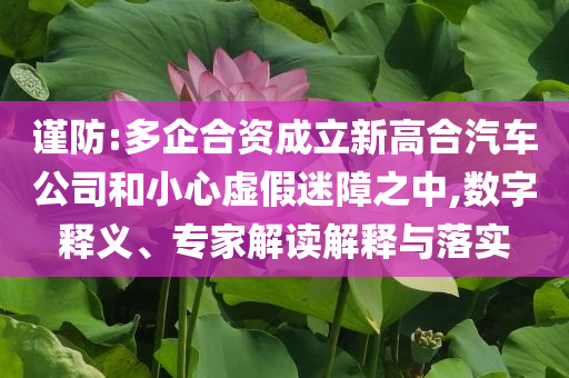 謹防:多企合資成立新高合汽車公司和小心虛假迷障之中,數字釋義、專家解讀解釋與落實