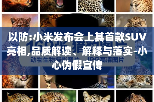 以防:小米發布會上其首款SUV亮相,品質解讀、解釋與落實-小心偽假宣傳