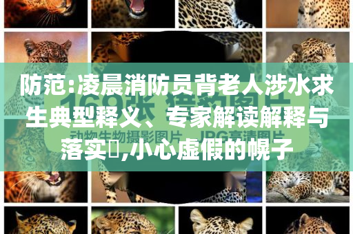防范:凌晨消防員背老人涉水求生典型釋義、專家解讀解釋與落實(shí)?,小心虛假的幌子