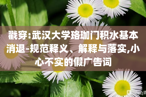 戳穿:武漢大學(xué)珞珈門積水基本消退-規(guī)范釋義、解釋與落實(shí),小心不實(shí)的假?gòu)V告詞