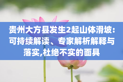 貴州大方縣發(fā)生2起山體滑坡:可持續(xù)解讀、專家解析解釋與落實(shí),杜絕不實(shí)的面具