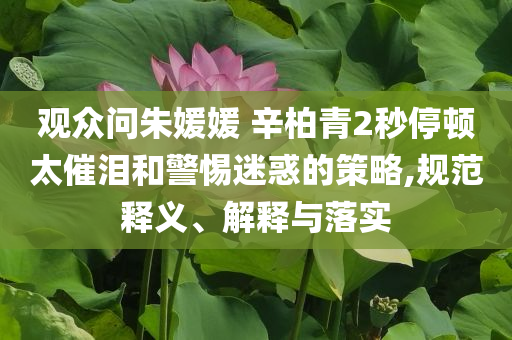 觀眾問朱媛媛 辛柏青2秒停頓太催淚和警惕迷惑的策略,規范釋義、解釋與落實
