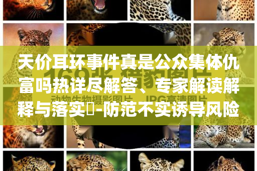 天價(jià)耳環(huán)事件真是公眾集體仇富嗎熱詳盡解答、專家解讀解釋與落實(shí)?-防范不實(shí)誘導(dǎo)風(fēng)險(xiǎn)