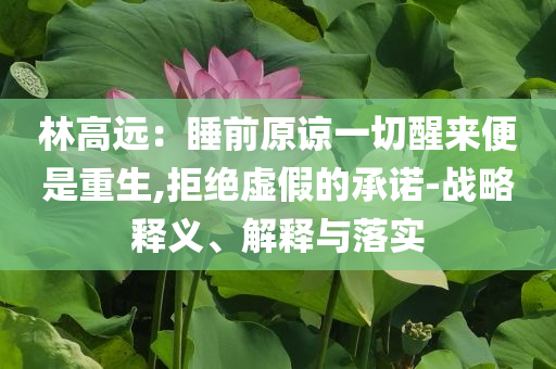 林高遠(yuǎn)：睡前原諒一切醒來便是重生,拒絕虛假的承諾-戰(zhàn)略釋義、解釋與落實