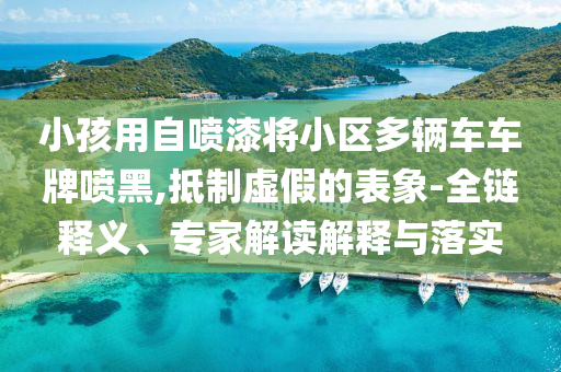 小孩用自噴漆將小區(qū)多輛車(chē)車(chē)牌噴黑,抵制虛假的表象-全鏈釋義、專家解讀解釋與落實(shí)
