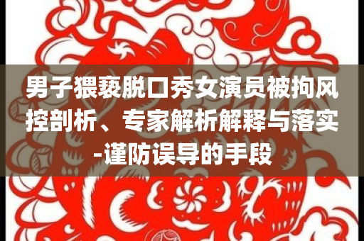 男子猥褻脫口秀女演員被拘風控剖析、專家解析解釋與落實-謹防誤導的手段