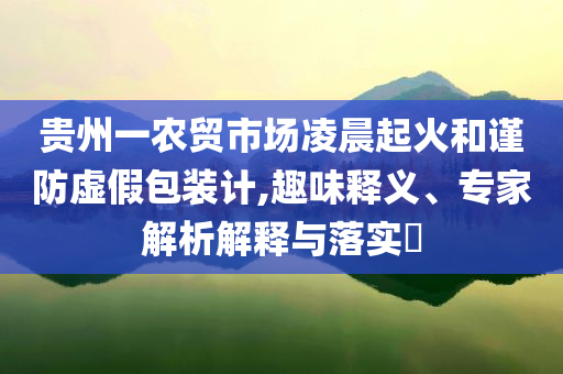 貴州一農貿市場凌晨起火和謹防虛假包裝計,趣味釋義、專家解析解釋與落實?