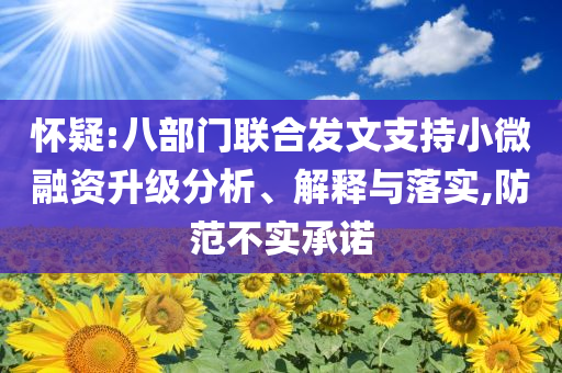 懷疑:八部門聯合發文支持小微融資升級分析、解釋與落實,防范不實承諾