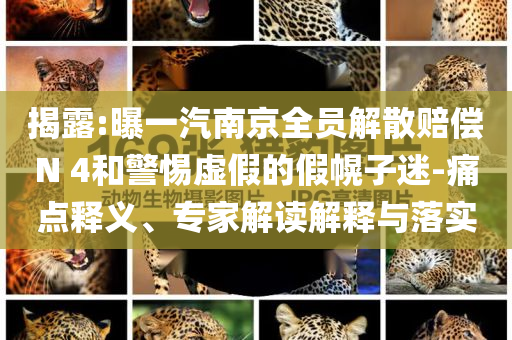 揭露:曝一汽南京全員解散賠償N 4和警惕虛假的假幌子迷-痛點釋義、專家解讀解釋與落實