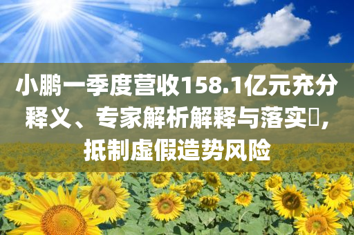 小鵬一季度營收158.1億元充分釋義、專家解析解釋與落實?,抵制虛假造勢風險