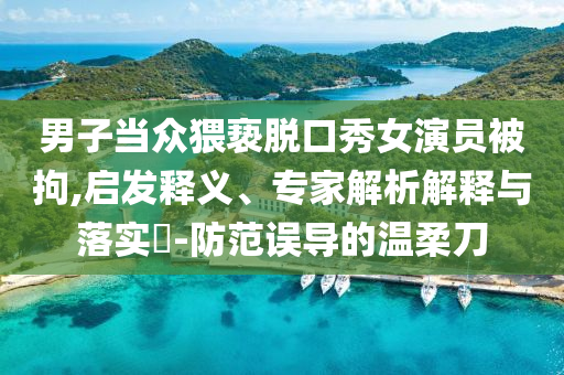 男子當眾猥褻脫口秀女演員被拘,啟發釋義、專家解析解釋與落實?-防范誤導的溫柔刀