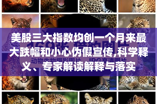 美股三大指數(shù)均創(chuàng)一個月來最大跌幅和小心偽假宣傳,科學(xué)釋義、專家解讀解釋與落實(shí)