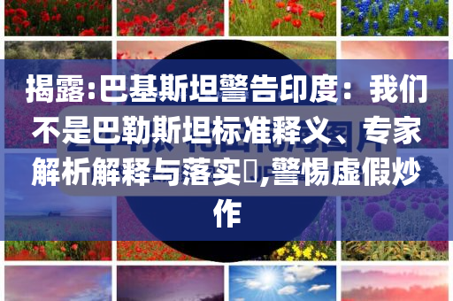 揭露:巴基斯坦警告印度：我們不是巴勒斯坦標(biāo)準(zhǔn)釋義、專家解析解釋與落實(shí)?,警惕虛假炒作