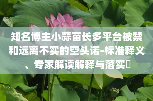 知名博主小蒜苗長多平臺被禁和遠離不實的空頭諾-標準釋義、專家解讀解釋與落實?