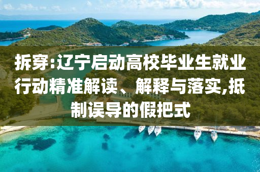 拆穿:遼寧啟動高校畢業生就業行動精準解讀、解釋與落實,抵制誤導的假把式