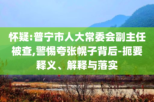 懷疑:普寧市人大常委會副主任被查,警惕夸張幌子背后-扼要釋義、解釋與落實