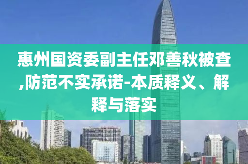 惠州國資委副主任鄧善秋被查,防范不實承諾-本質釋義、解釋與落實